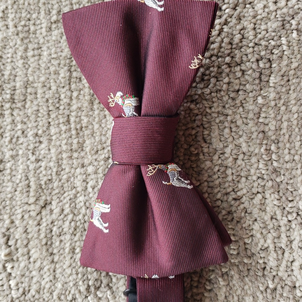 New bow tie. - Picture 2 of 4